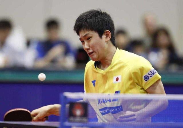 两大巨头之 两大巨头之