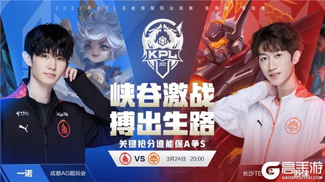 对策略玩家 对策略玩家